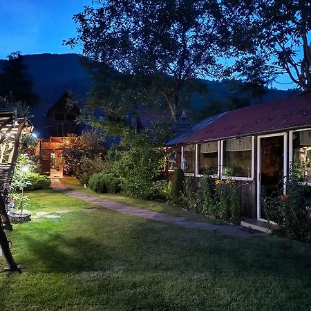 Casa De Vacanta Vidrighin Rau Sadului Dış mekan fotoğraf