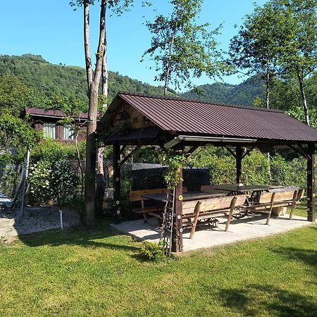 Casa De Vacanta Vidrighin Rau Sadului Dış mekan fotoğraf