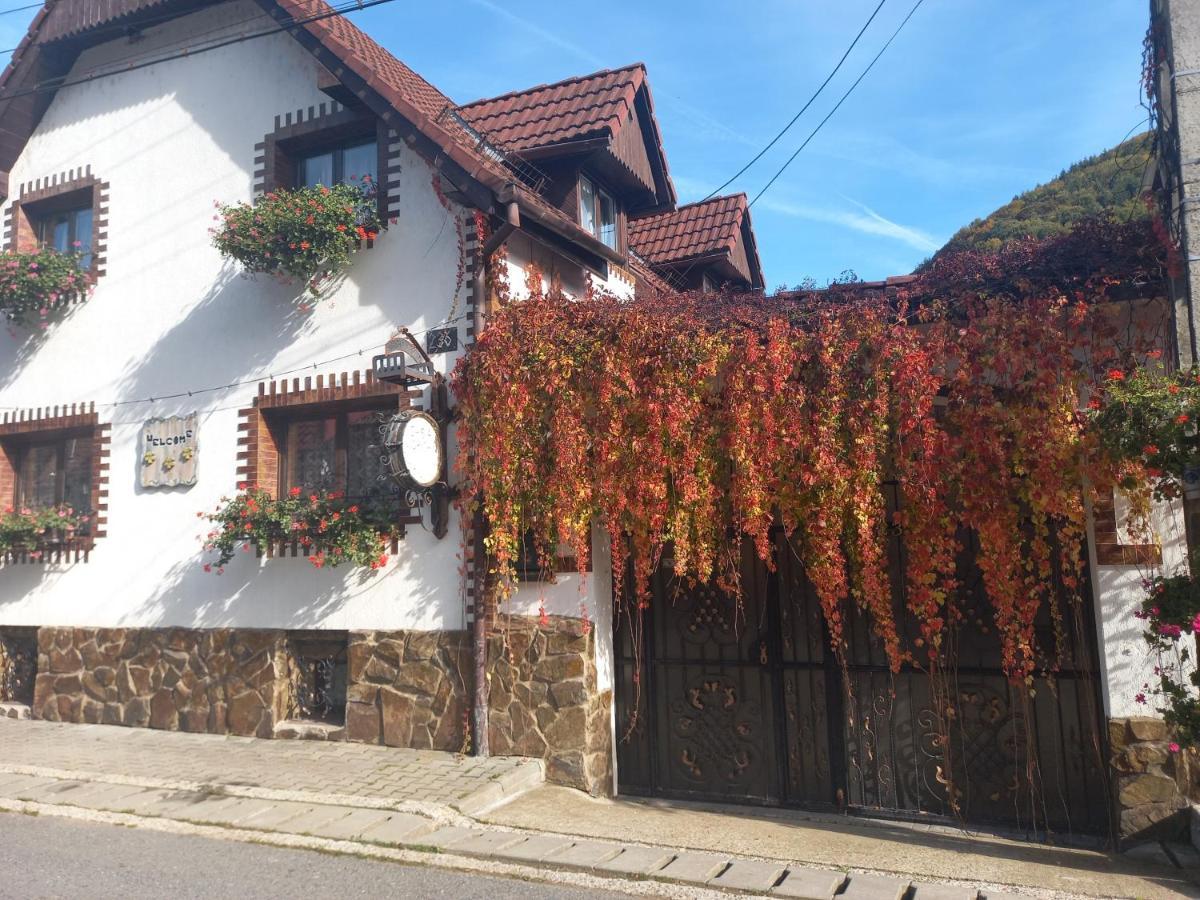 Casa De Vacanta Vidrighin Rau Sadului Dış mekan fotoğraf