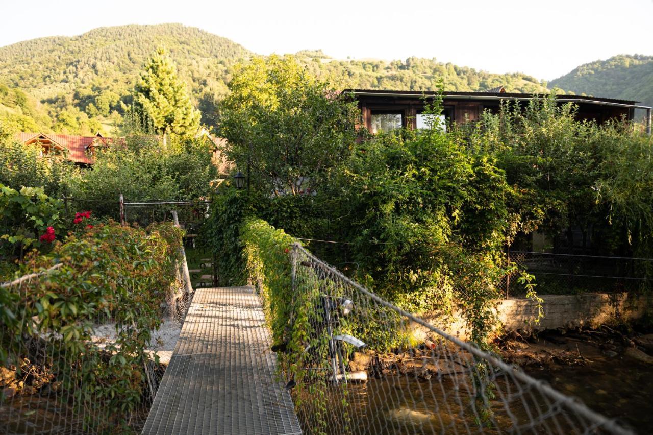 Casa De Vacanta Vidrighin Rau Sadului Dış mekan fotoğraf