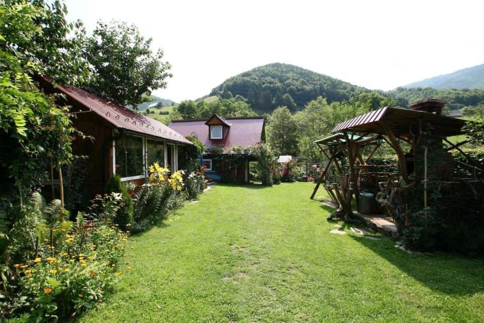 Casa De Vacanta Vidrighin Rau Sadului Dış mekan fotoğraf