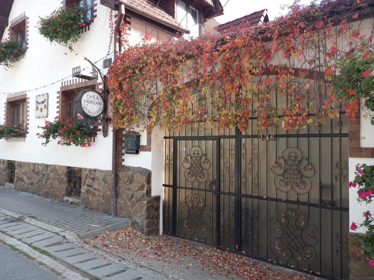 Casa De Vacanta Vidrighin Rau Sadului Dış mekan fotoğraf