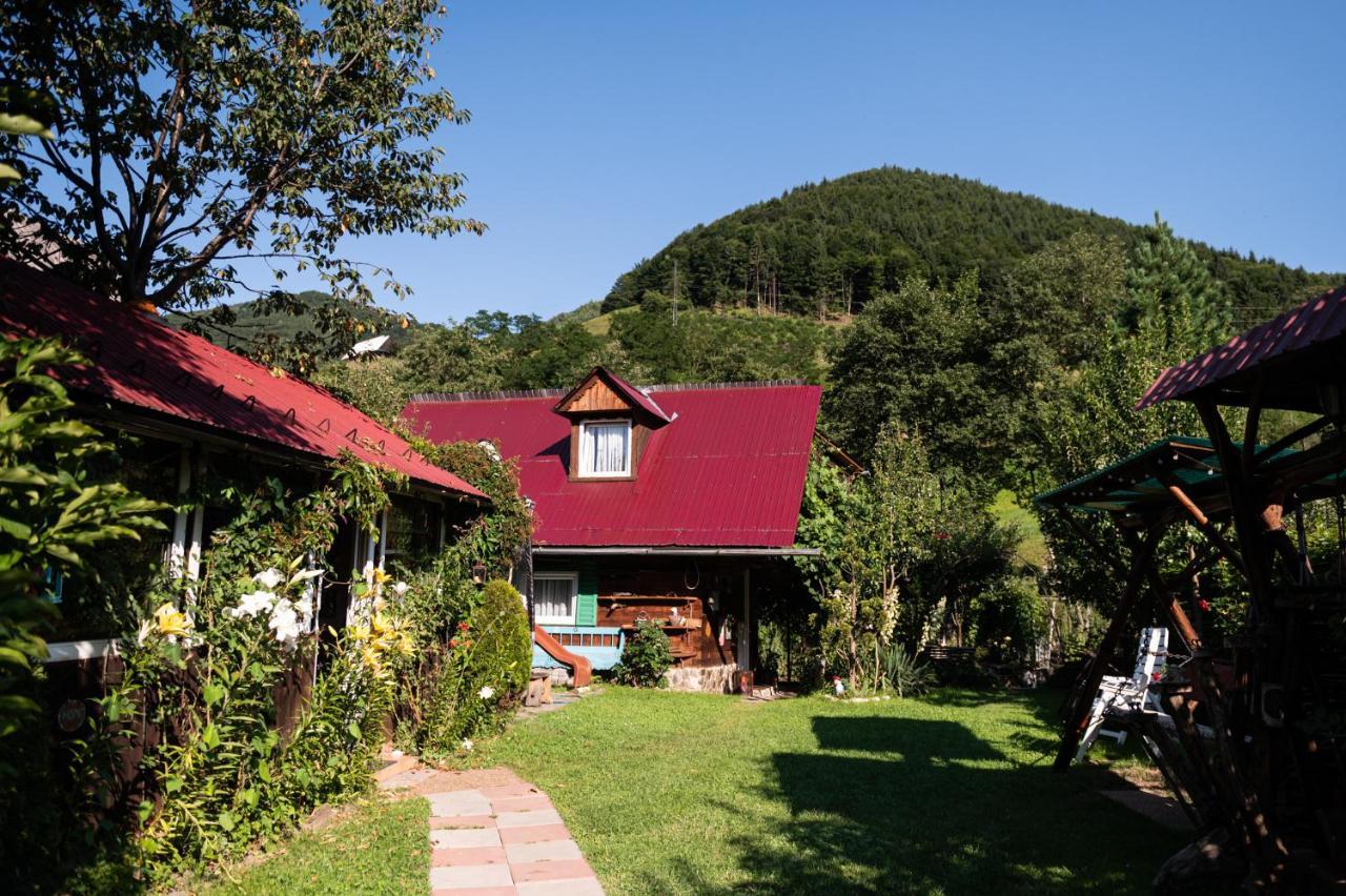 Casa De Vacanta Vidrighin Rau Sadului Dış mekan fotoğraf