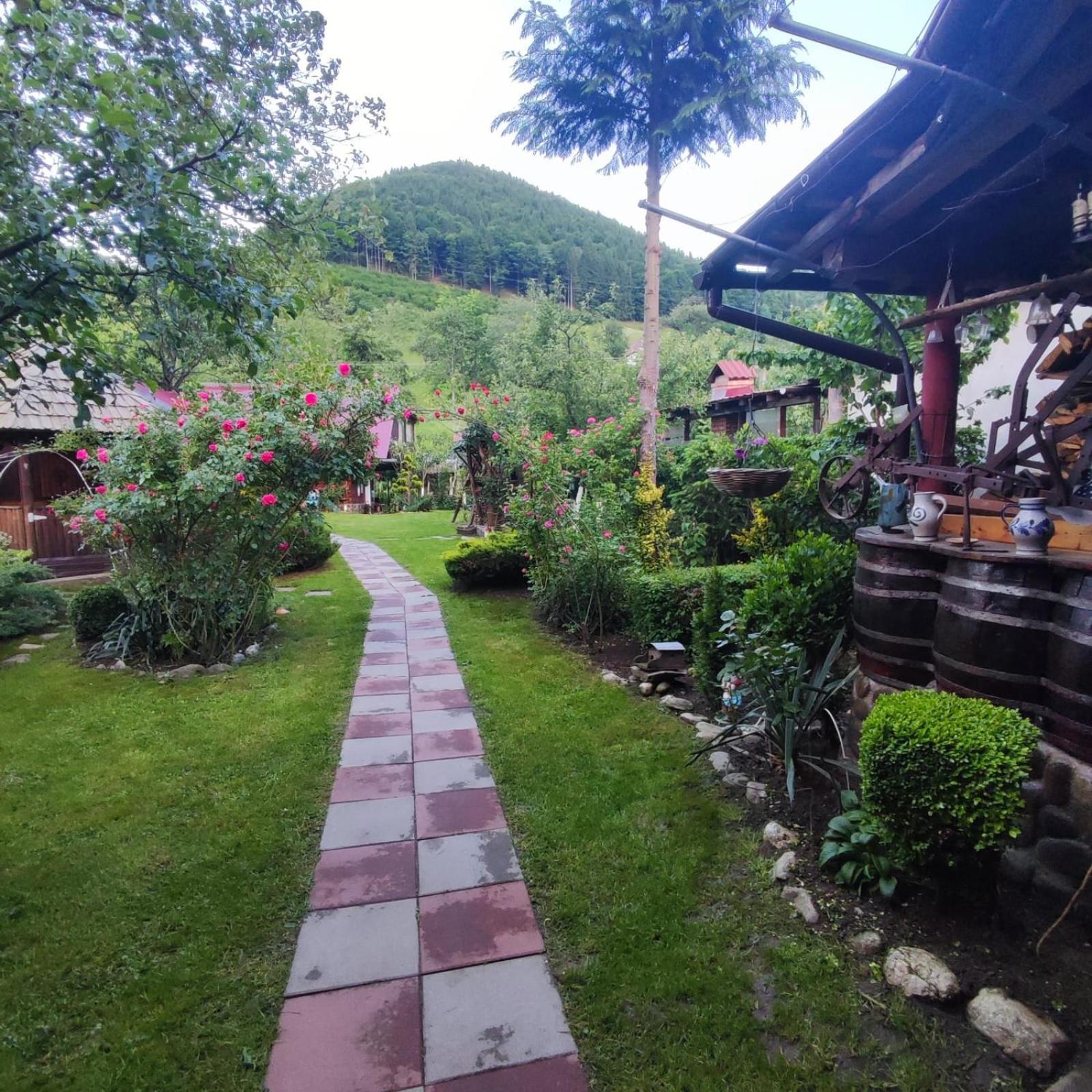 Casa De Vacanta Vidrighin Rau Sadului Oda fotoğraf