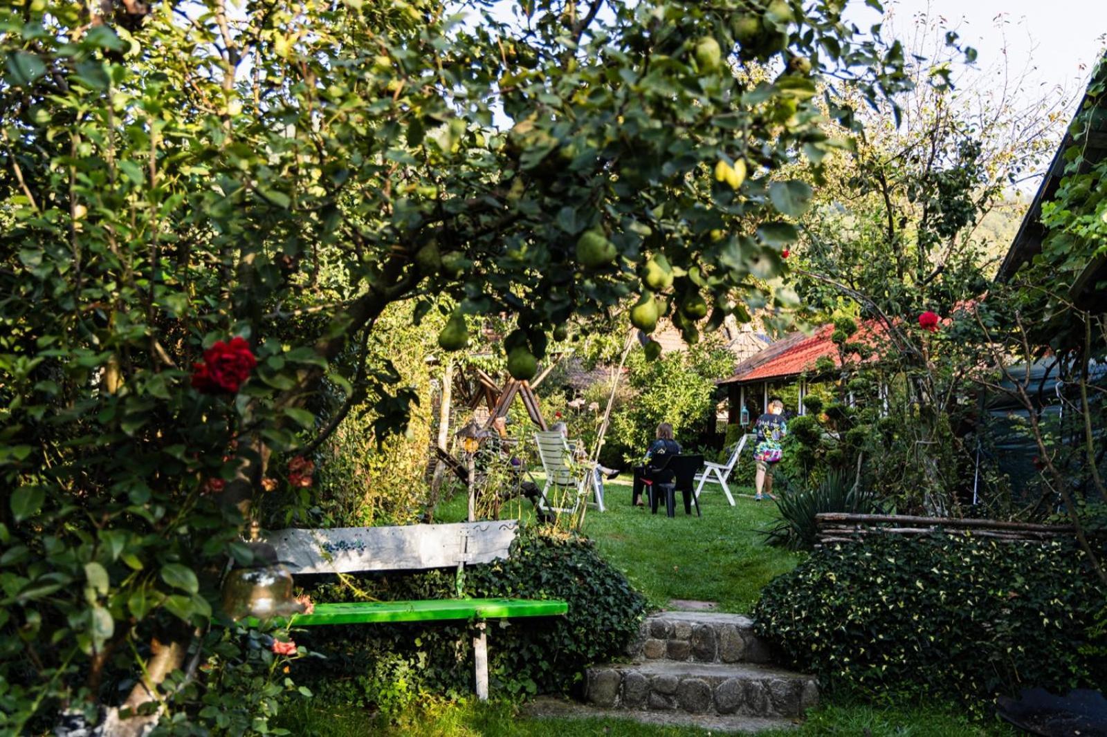 Casa De Vacanta Vidrighin Rau Sadului Oda fotoğraf