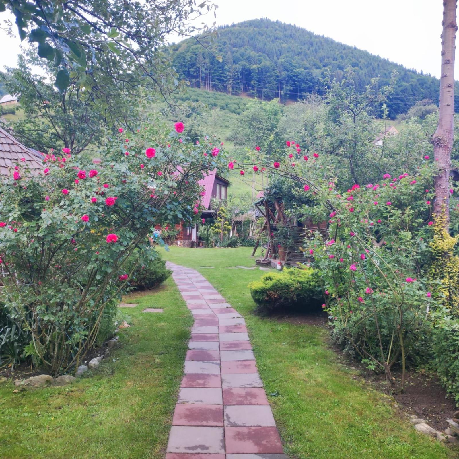 Casa De Vacanta Vidrighin Rau Sadului Oda fotoğraf