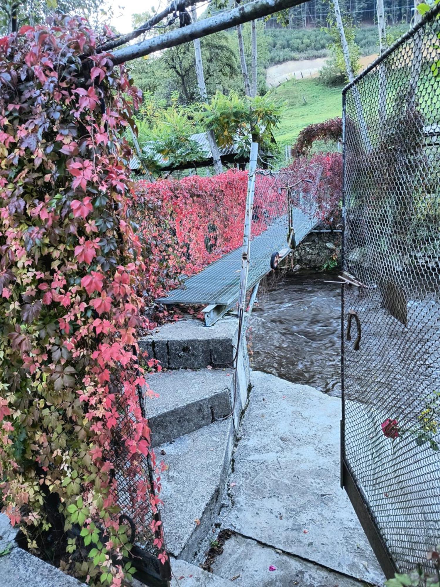 Casa De Vacanta Vidrighin Rau Sadului Oda fotoğraf