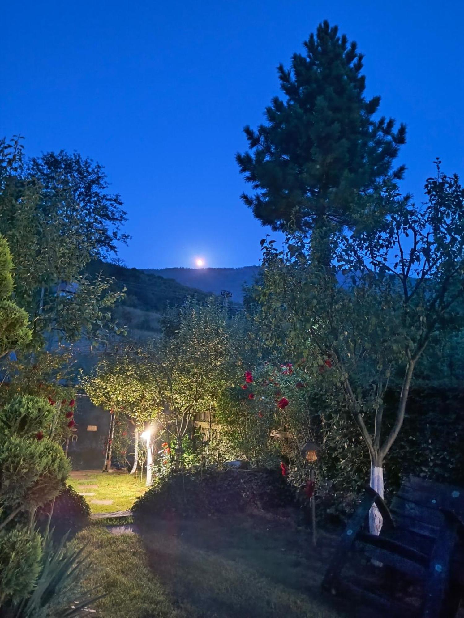 Casa De Vacanta Vidrighin Rau Sadului Dış mekan fotoğraf