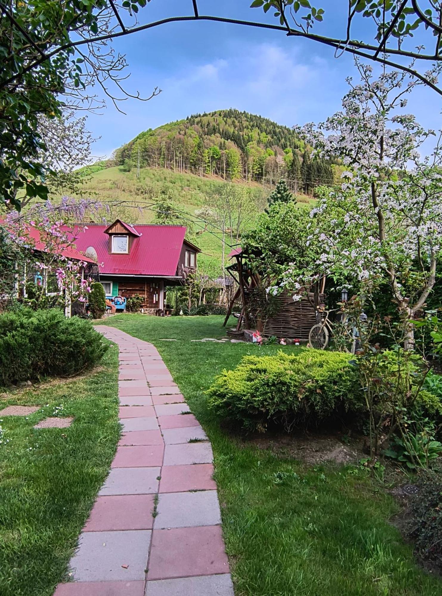Casa De Vacanta Vidrighin Rau Sadului Dış mekan fotoğraf