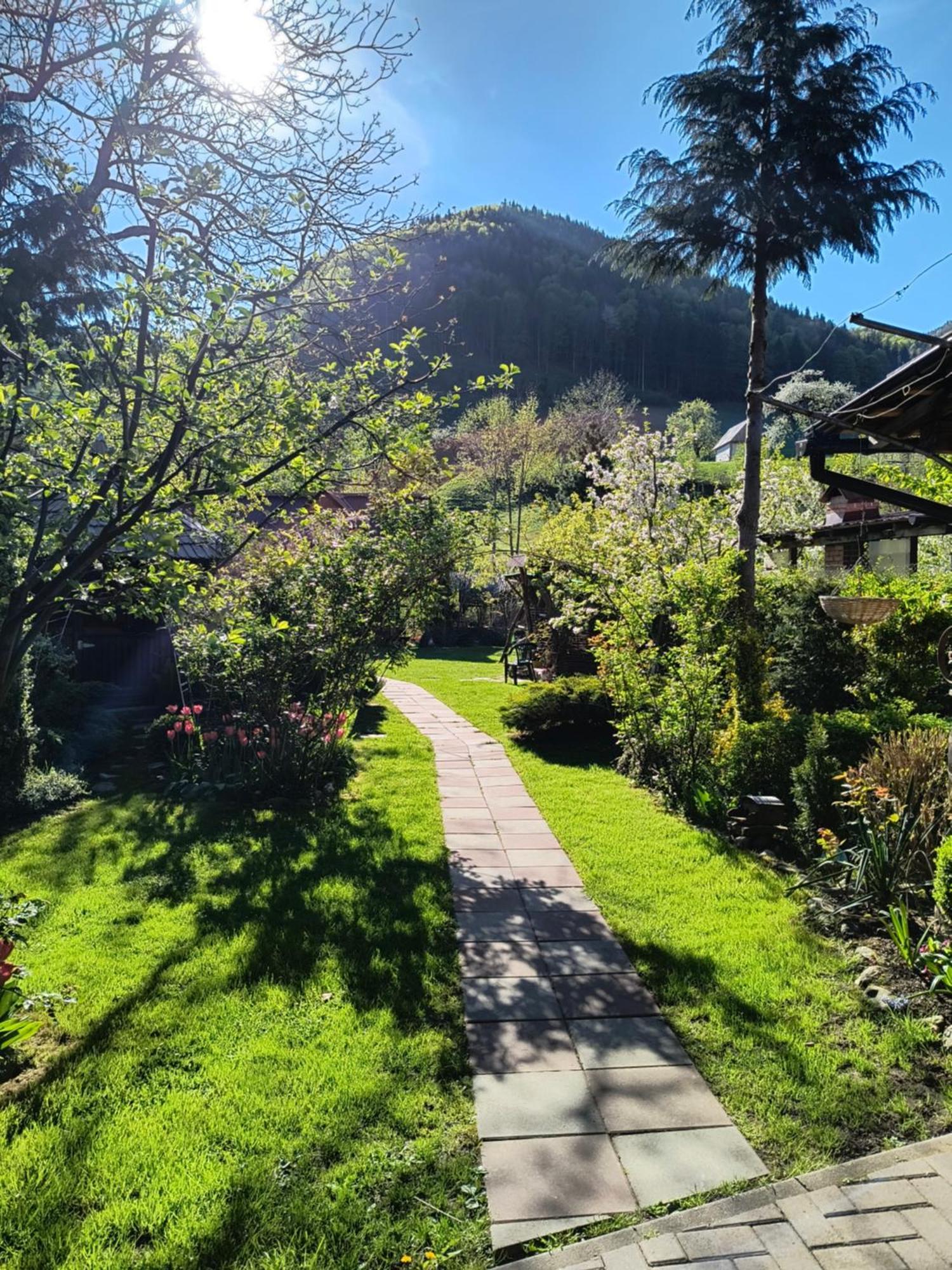 Casa De Vacanta Vidrighin Rau Sadului Dış mekan fotoğraf