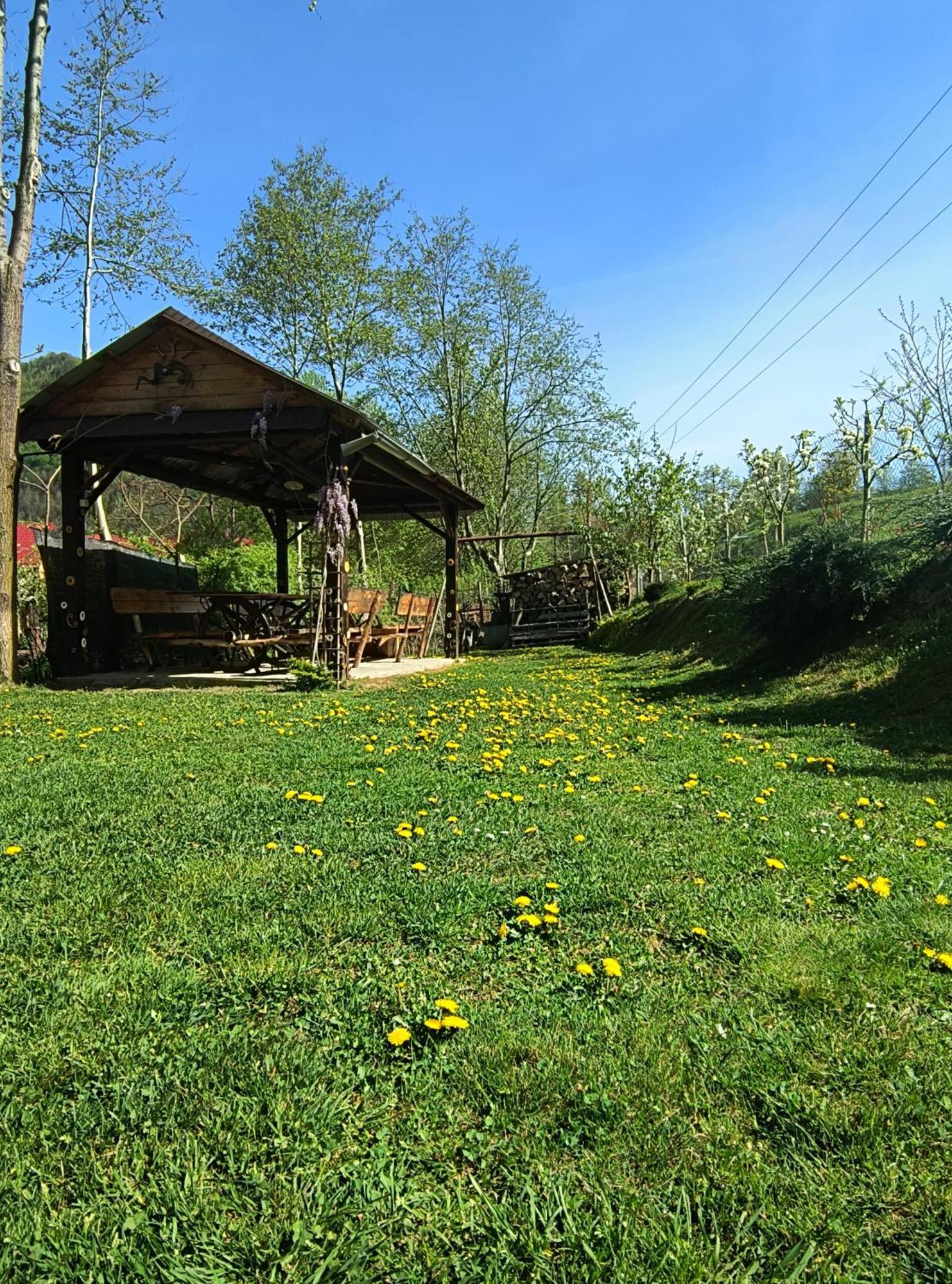 Casa De Vacanta Vidrighin Rau Sadului Dış mekan fotoğraf