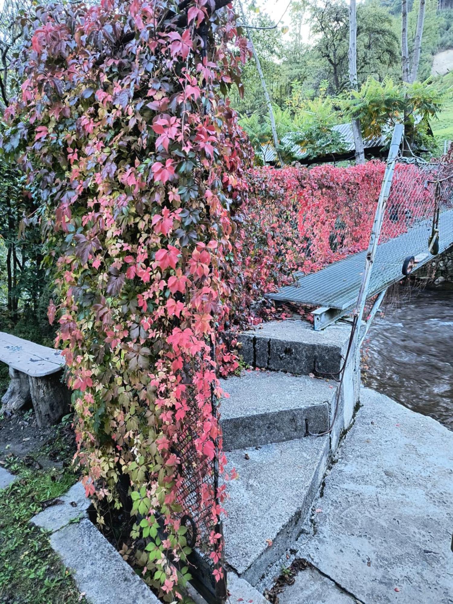Casa De Vacanta Vidrighin Rau Sadului Dış mekan fotoğraf